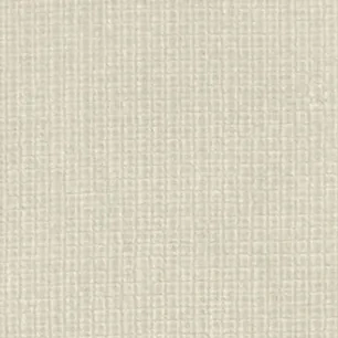 4876 Sheer Mesh
